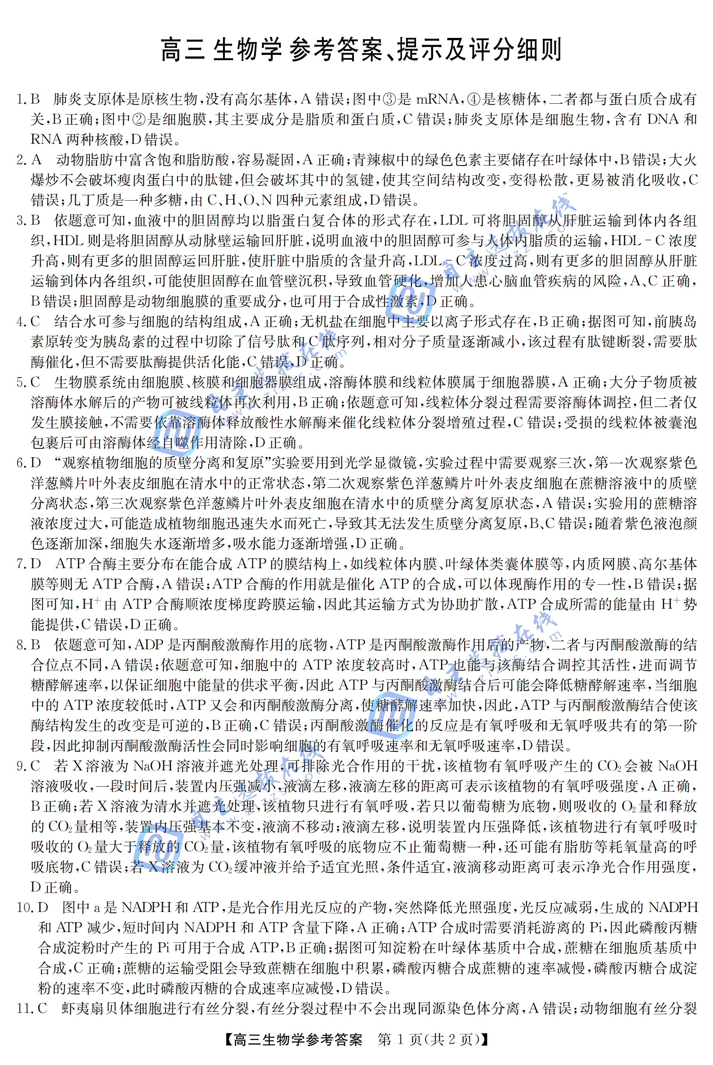 江南十校2026届高三10月联考生物试题及答案